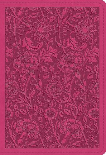 Esv large print - large, bible