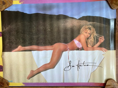 Lisa hartman bikini - lisa, “bikini”