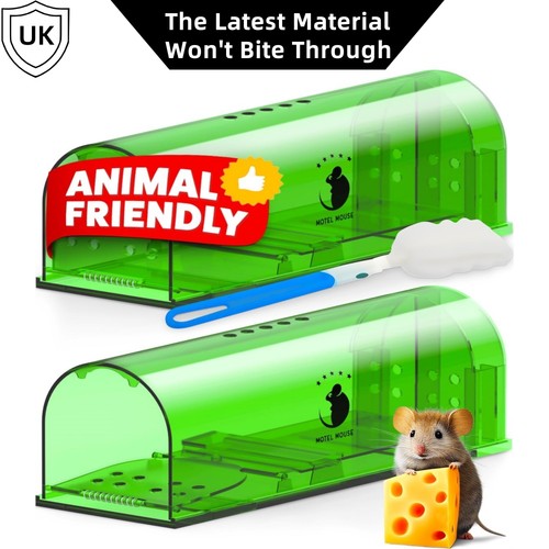 2pcs kill reusable mouse - no,