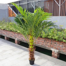 5ft 6ft artificial palm tree - artificial,