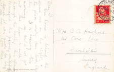 FAMILY HISTORY - GENEALOGY -