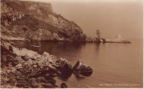 Family history postcard - -,