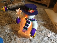 Fibre Optic Light Up Colour