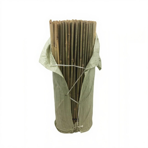 Bamboo canes 3ft thick stake - canes,