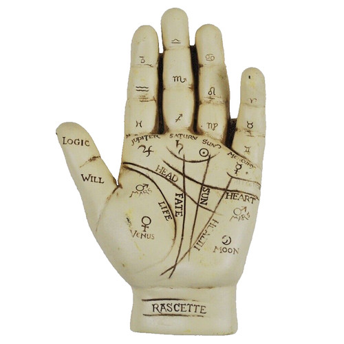 Palmistry hand reading - hand,