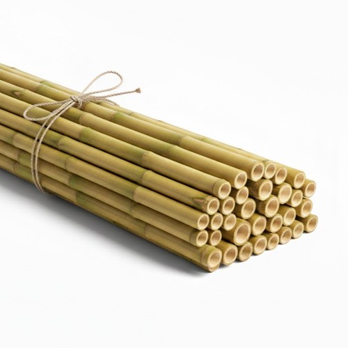Strong thick bamboo canes - strong,