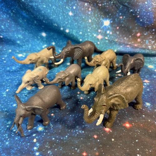 Elephant bundle retired animal - elephant,