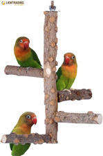 Bird Perch Nature Wood Stand