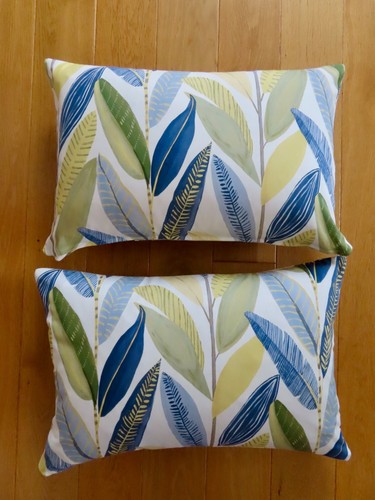 Scion harlequin pair - pair,