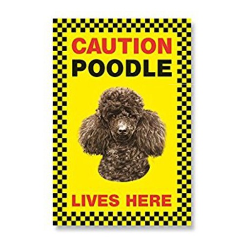 Poodle black gift - black,