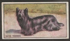 HILL (RJ)-BREEDS OF DOGS