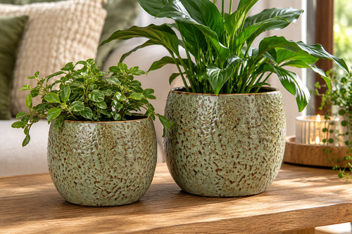 Set ceramic plant pots - ceramic,