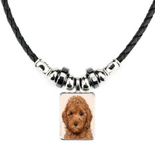 Miniature Poodle Dog Black