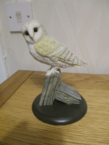 Border fine arts owl ornament - owl,