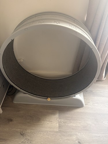 Cat exercise wheel treadmill - cat,