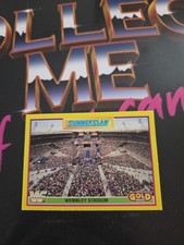 Merlin WWF Gold WWE Wembley