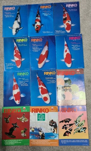 Vintage rinko japanese - x,