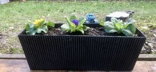 Flower Crates Butterfly Gift
