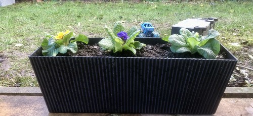Flower crates butterfly gift - flower,