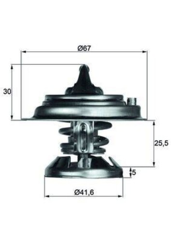 Engine thermostat mahle - engine,