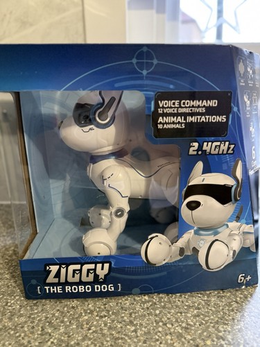 Ziggy the robo - ziggy,
