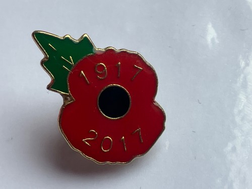 Charity enamel pin badges - enamel,