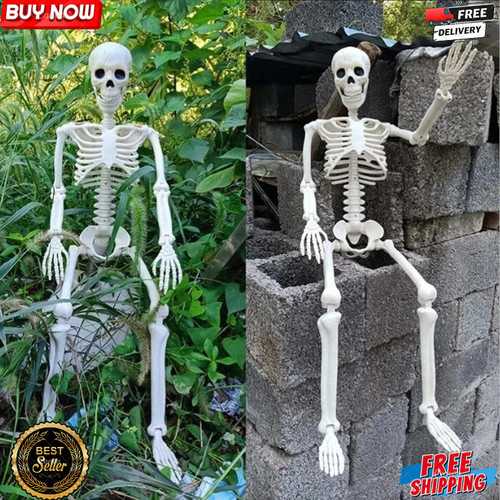 Giant life size human - size, skeleton