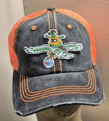 Philadelphia eagles flying - philadelphia,