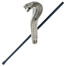 Walking Venomous Cobra Snake
