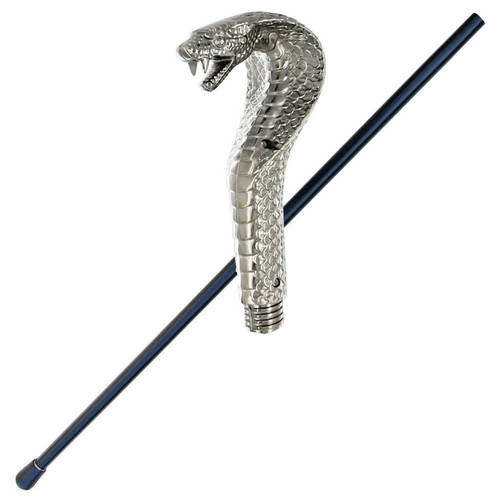 Walking venomous cobra - walking,
