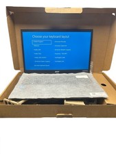 Acer extensa - extensa, 15