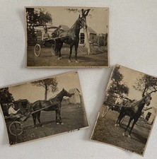 Antique Snapshot Photo Lot