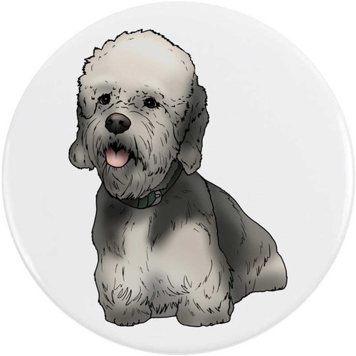 Dandie dinmont terrier - 'dandie, terrier'