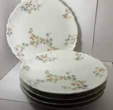 Haviland Limoges China Blue