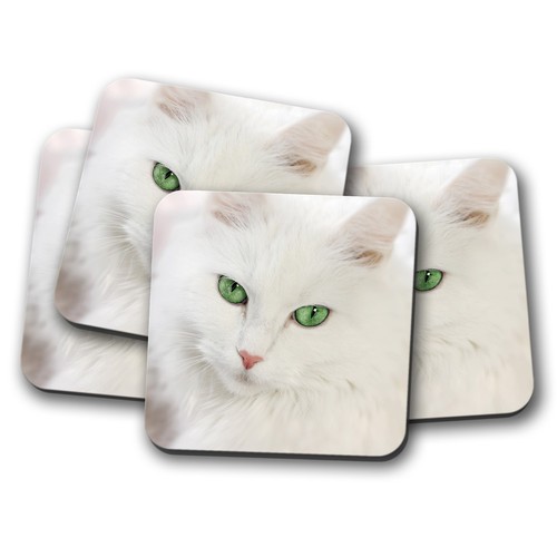 Set beautiful white cat - 4,