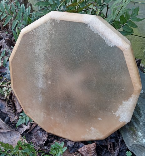 Deer hide fallow - ,