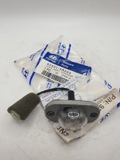 Hyundai Trajet H1 Rear Licence