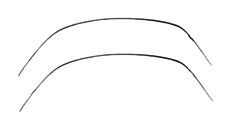 Mitsubishi Genuine Lancer Evolution EVO 8 02-07 Roof Drip Side Molding Pair OEM