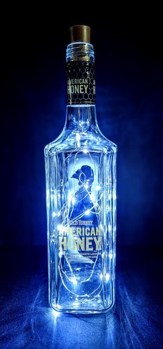 Wild turkey american - turkey,