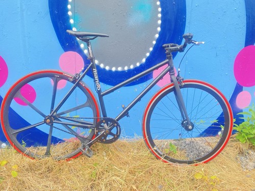 Mango single speed - mango, gear