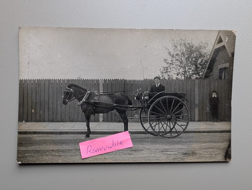 Old photo man boy - man, horse