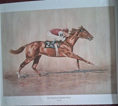 The american quarter horse - the,