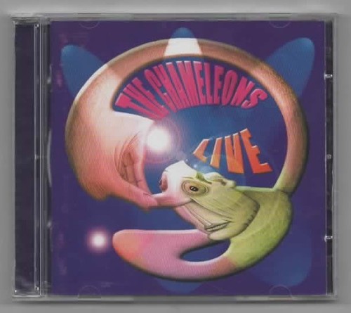 The chameleons live at - chameleons,