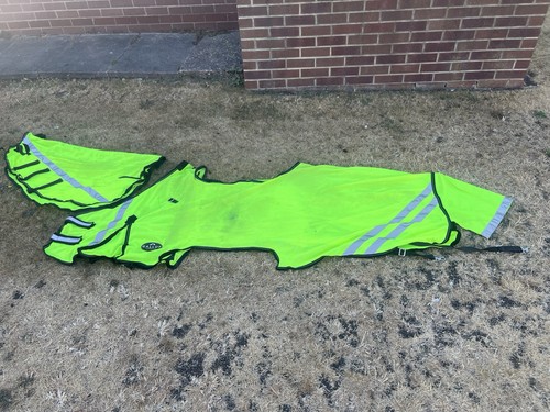 Gallop ride vis - on, rug