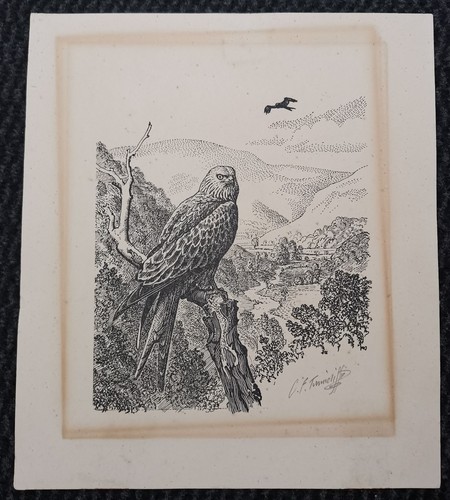Hand signed tunnicliffe - hand-signed, c.f.