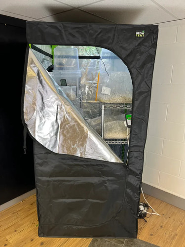 Mushroom grow tent for growing - mushroom,