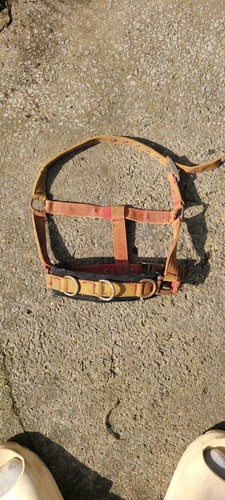 Lunging cavesson headcollar - lunging,