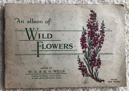 Wills wild flowers - wild,