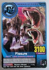 ANIMAL KAISER MIRACLE CARD