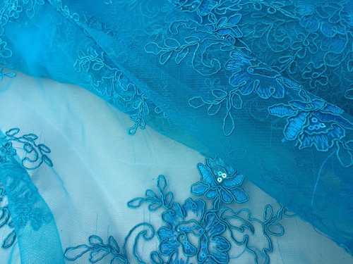 Embroidered french lace juan - lace,, 'juan